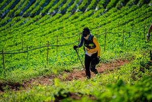 BIB: 
                            <button type="button" onclick="openModal(19162363)" class="btn btn-primary btn-sm float-right btn-popup" data-toggle="modal" data-target=".modal-high-quality">
                        <i class="fas fa-shopping-cart"></i> Add to Cart
                    </button>
                                            <button type="button" onclick="isThisMe(19162363, true)" class="btn btn-success btn-sm float-right btn-popup btn-isme hidden" data-toggle="tooltip" data-placement="bottom" title="นี่คือรูปของคุณใช่ไหม คลิกที่นี่เพื่อเอาเข้าอัลบั้ม">
                        <i class="fas fa-plus"></i> Add to album
                    </button>
                    <button type="button" onclick="isThisMe(19162363, false)" class="btn btn-warning btn-sm float-right btn-popup btn-isnotme hidden">
                        <i class="fas fa-ban"></i> Remove from album
                    </button>